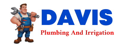 Trusted plumber in ACE